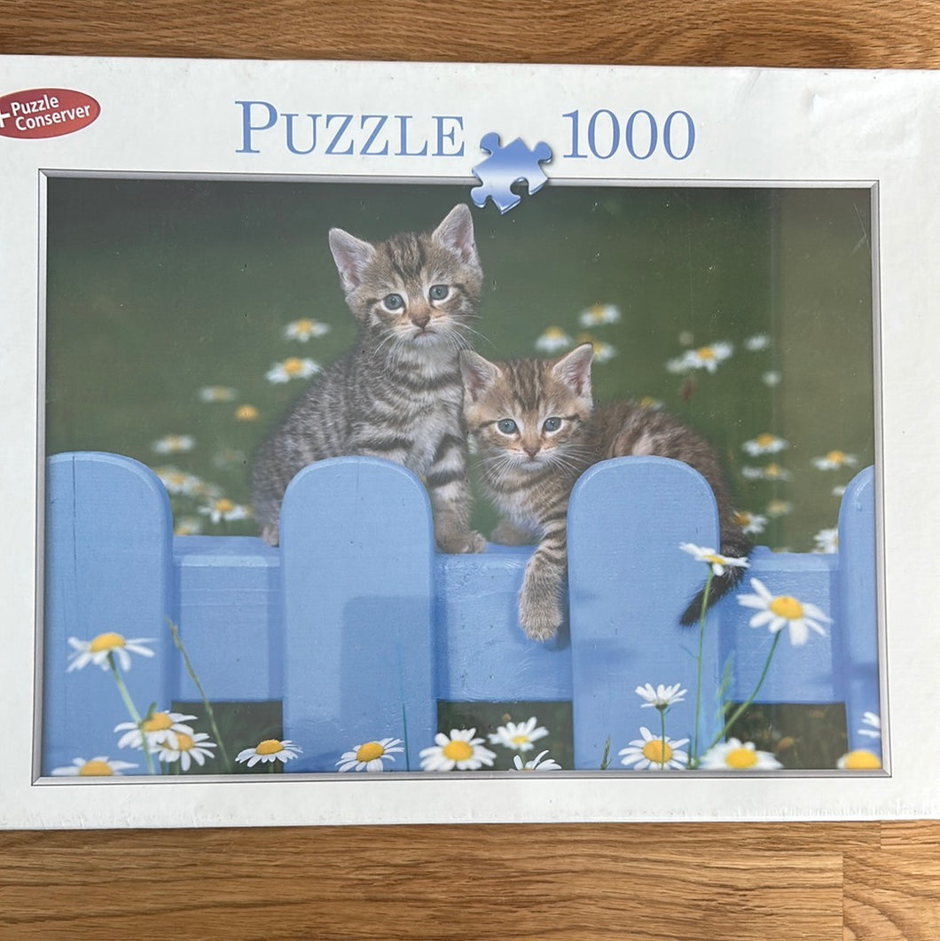 Innovakids 1000 piece jigsaw puzzle 