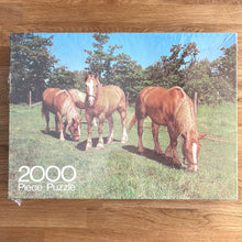 Arrow puzzles 2000 piece jigsaw puzzle - "Dray Horses". Checked